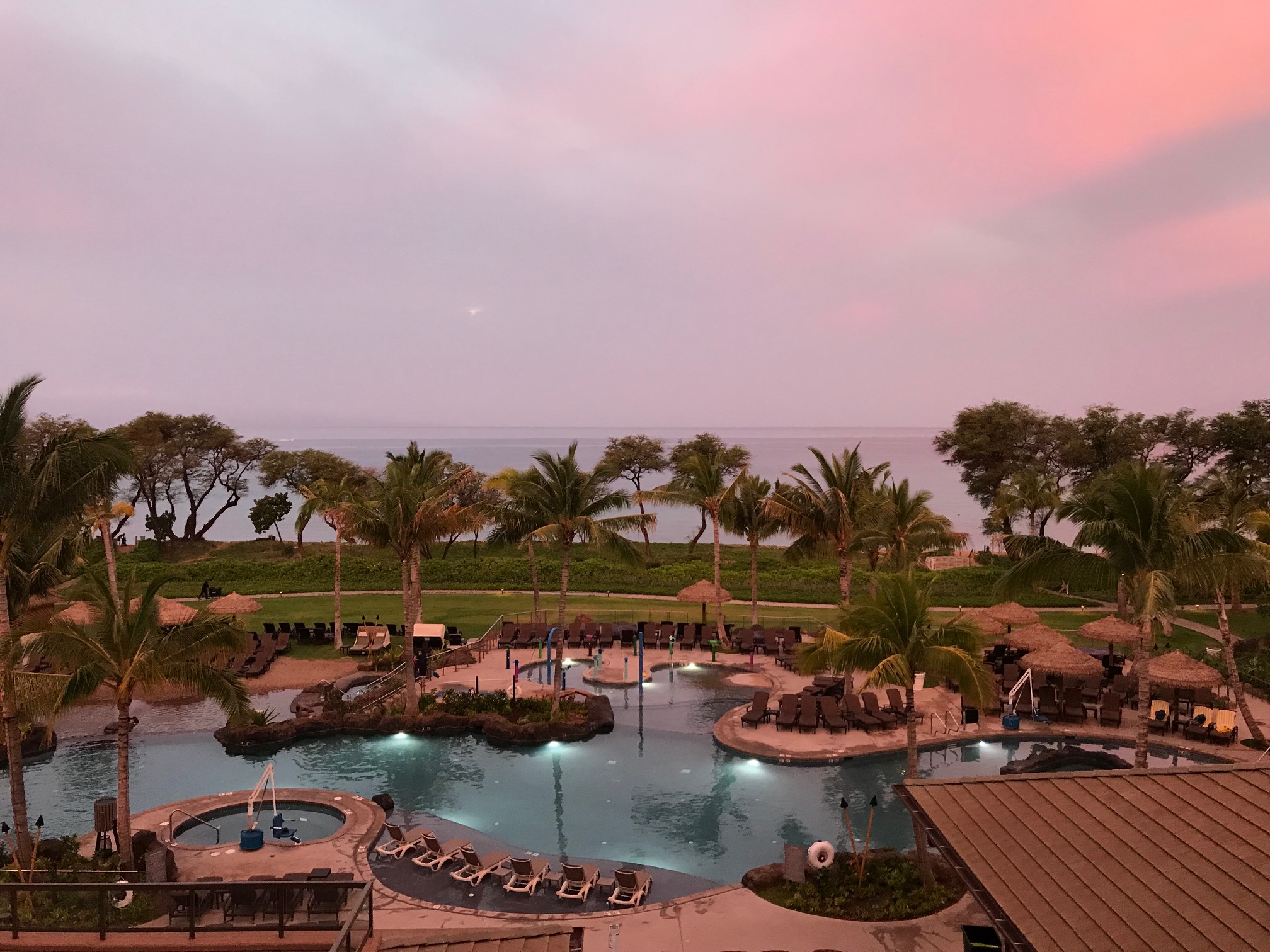 a pool with palm trees and a pink sky