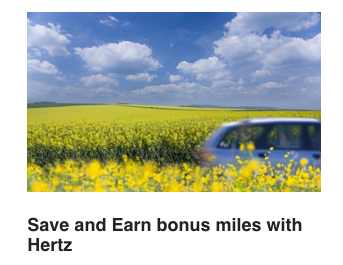 a car driving through a field of yellow flowers