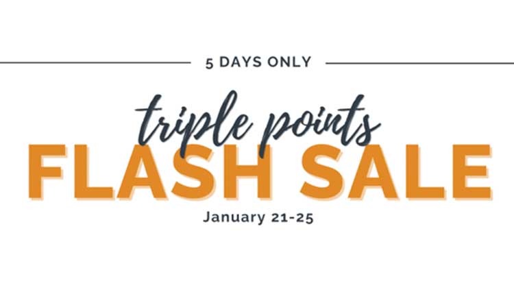 Stash Flash Sale 3x points