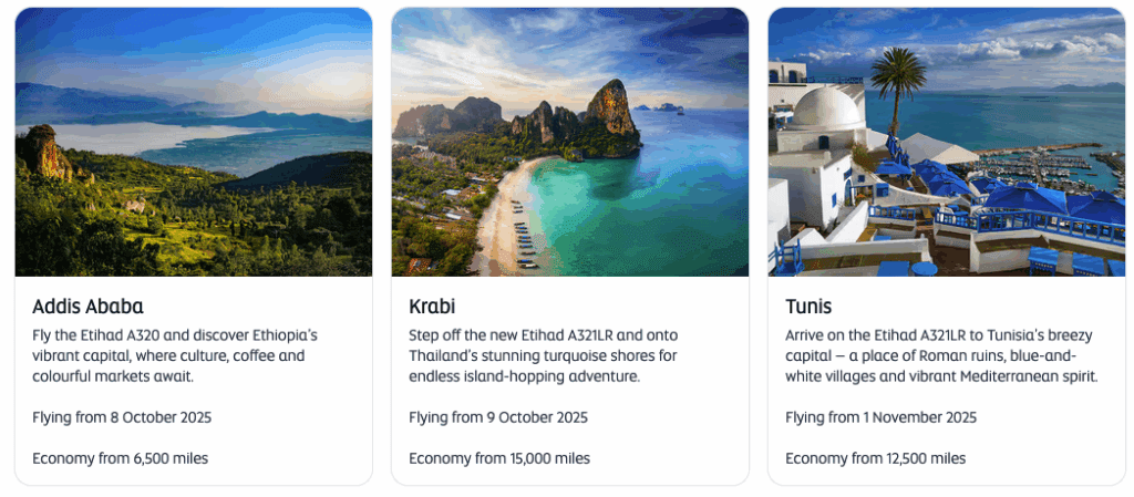 a screenshot of a travel website