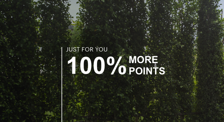 Buy IHG Points with a 100% bonus